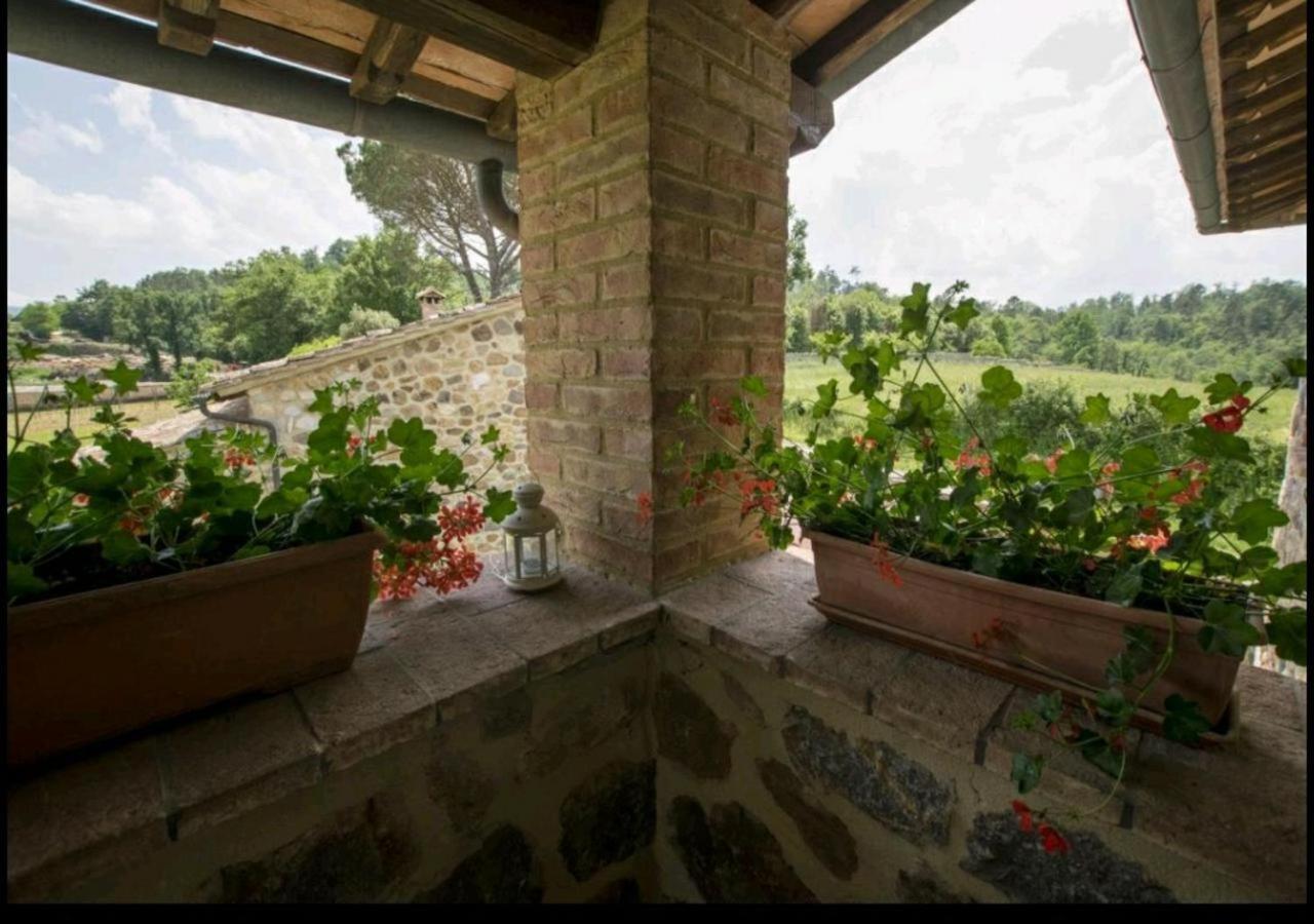 Casetta Della Pina Monticiano